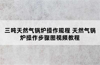 三吨天然气锅炉操作规程 天然气锅炉操作步骤图视频教程